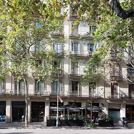 - Eixample Entresuelo * Barcellona